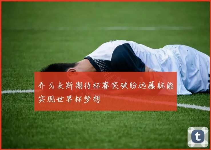 乔戈麦斯期待杯赛突破盼远藤航能实现世界杯梦想